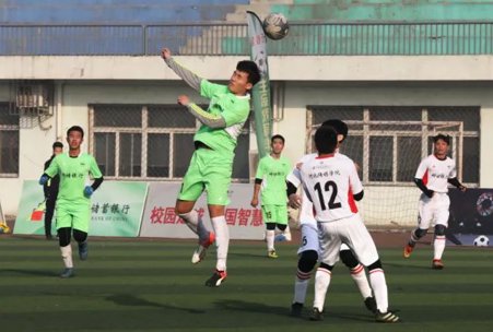 乐鱼(leyu)官网品牌故事